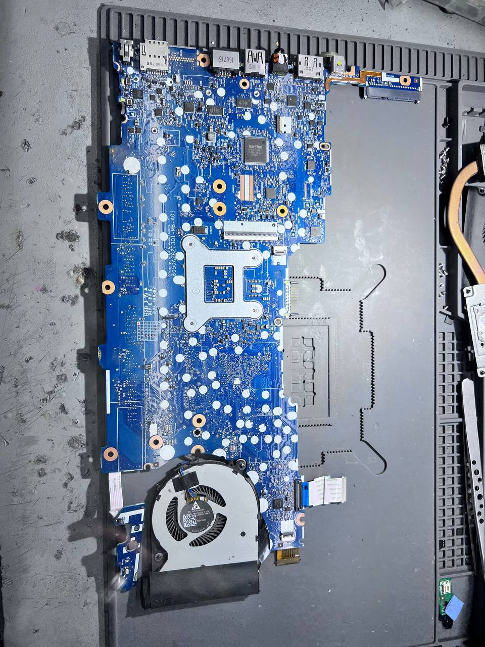 BACK IMAGE.jpg