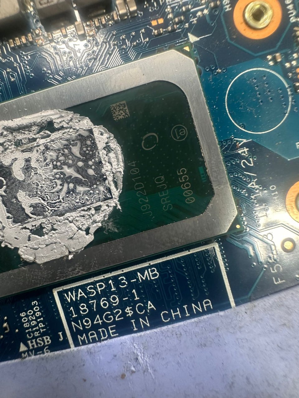 WASP13-MB 18769-1.jpg