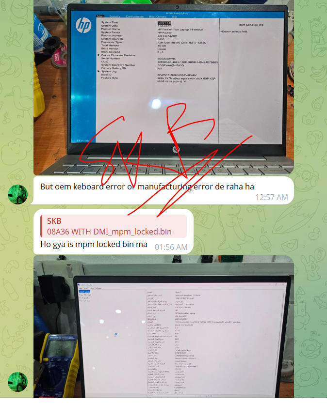 WERWERER.PNG