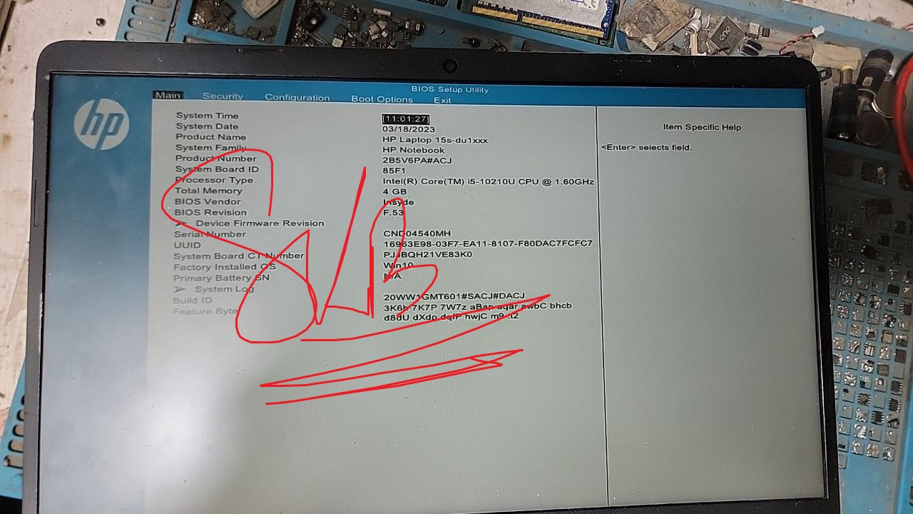 photo_2026-01-05_13-25-05.jpg